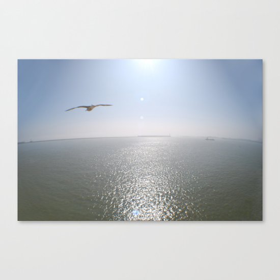 In Flight Canvas Print