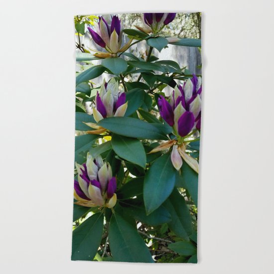 Rhododendrons Ready to Bloom Beach Towel
