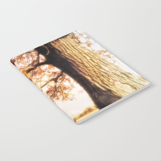 An Old Oak Notebook