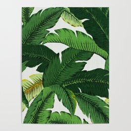 banana leaf palms Poster