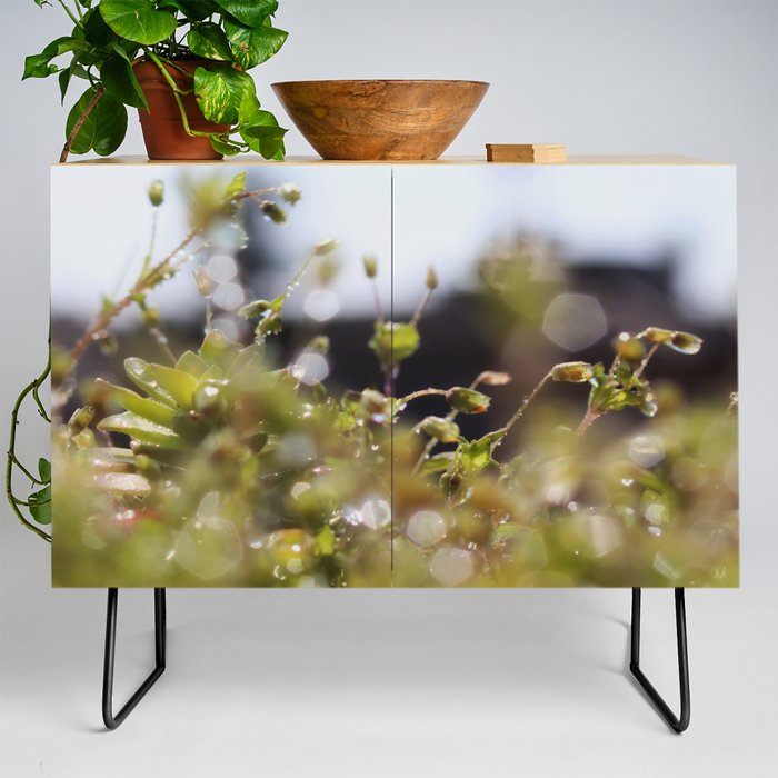 Spring mornings by Denise Dietrich Credenza