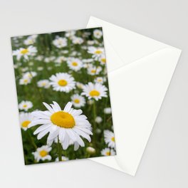 Field of Daisies Stationery Cards