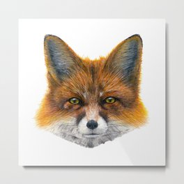 Fox face - Painting in acrylic Metal Print | Realistic, Painting, Reynards, Detail, Orange, Watercolour, Vixens, Fox, Dogs, Tods 