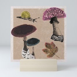 Fantastic Fungi Mini Art Print