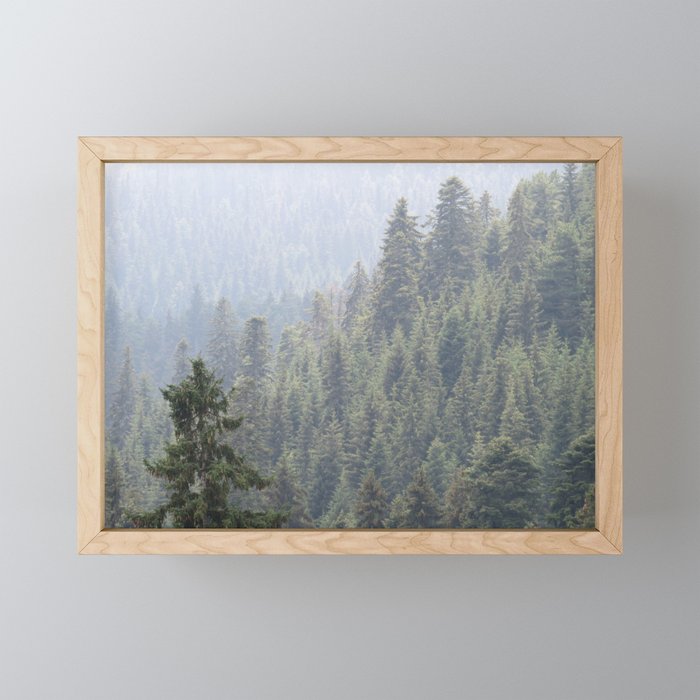 Forest of Mist Framed Mini Art Print