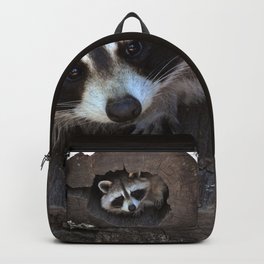 Hiding baby raccoon Backpack