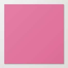 Pink Plastic Canvas Print