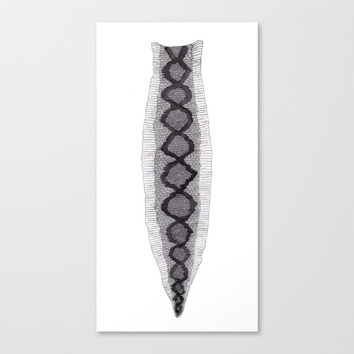 Snake Skin Canvas Print