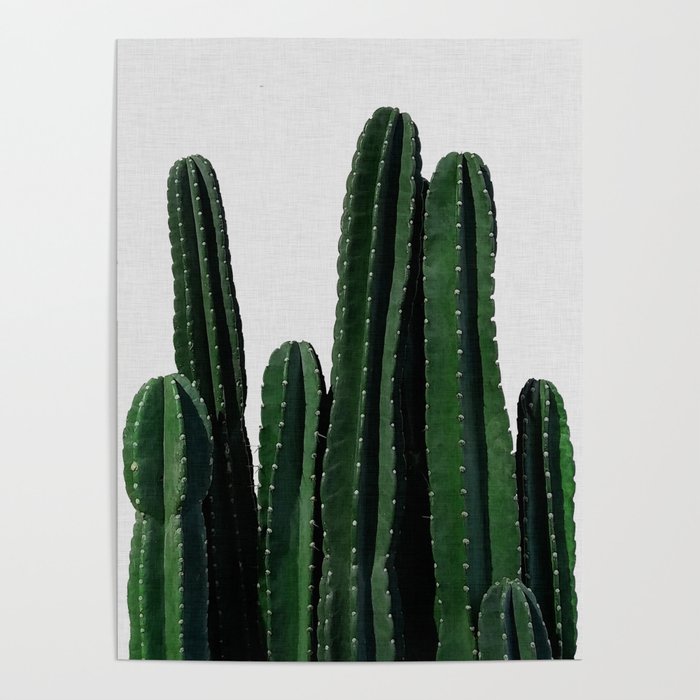 Cactus I Poster