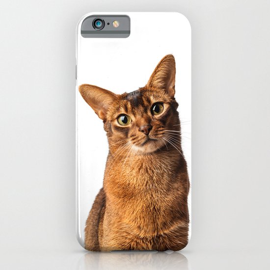Abyssinian Eyes iPhone & iPod Case