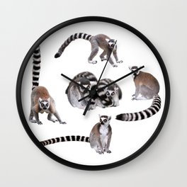 Ring-tailed lemur Wall Clock