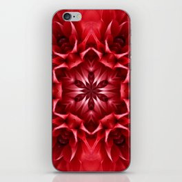 Romantic Red Dahlia single flower iPhone Skin