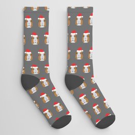 Christmas Guinea Pig Socks