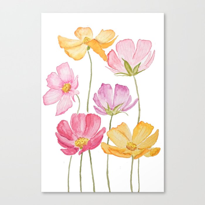 colorful cosmos flower Canvas Print