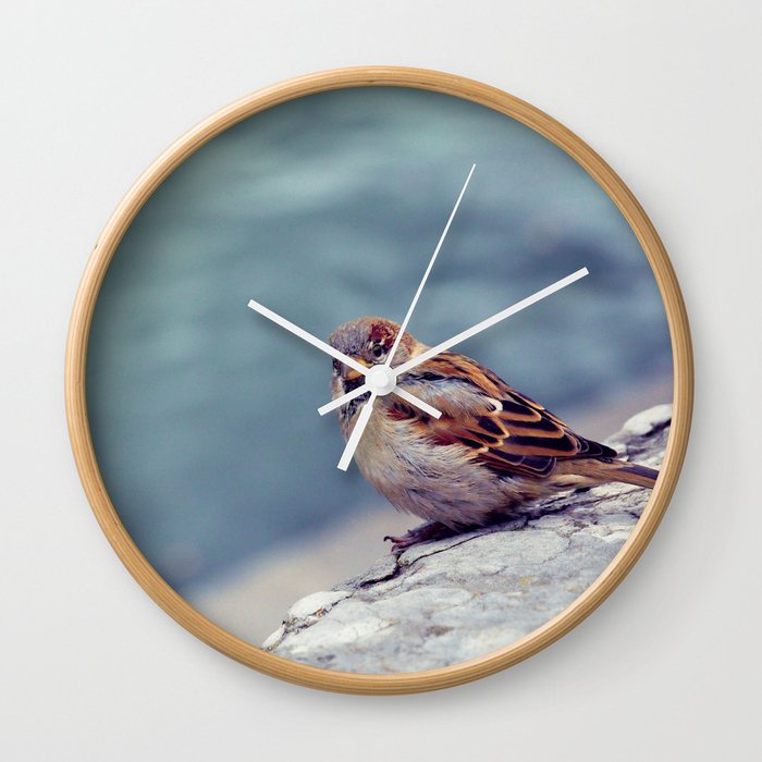 bird Wall Clock