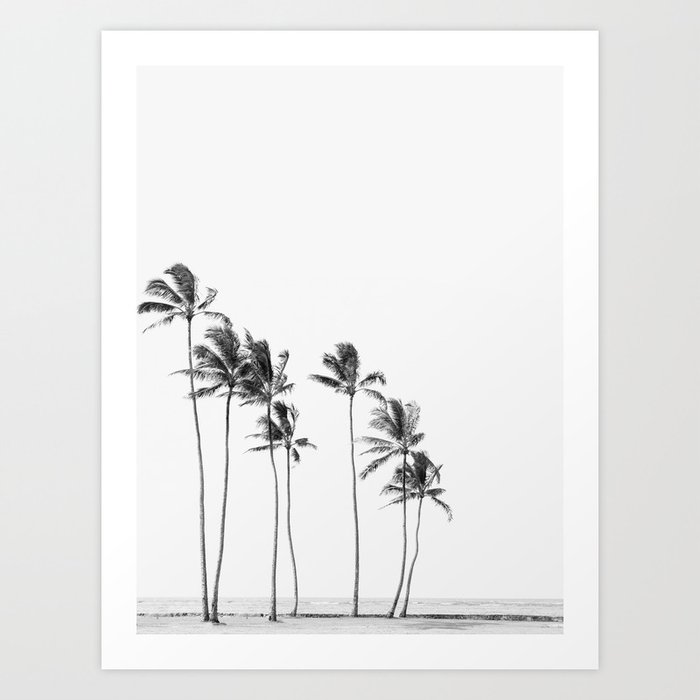 Hawaii Palm Trees - Black and White Photography Art Print