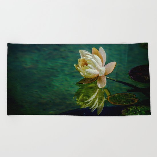 Water Lily after rain Beach Towel