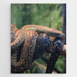 snakes  Jigsaw Puzzle