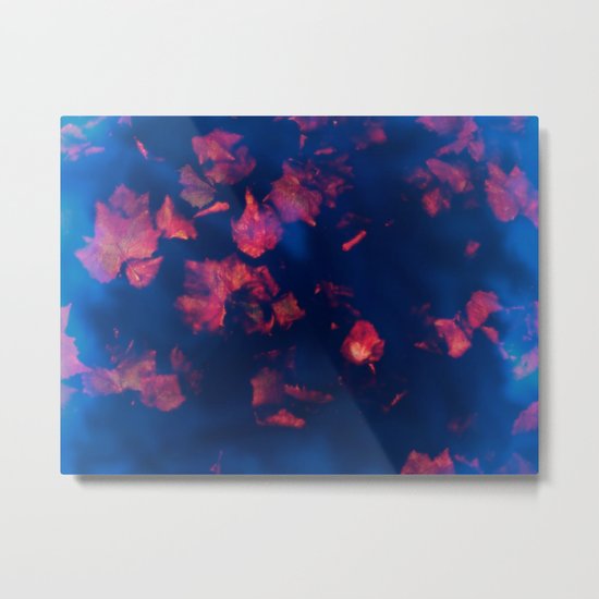 Rusty red falling leaves in dark blue water Metal Print