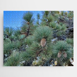Pine Tree at Lick Observatory Jigsaw Puzzle