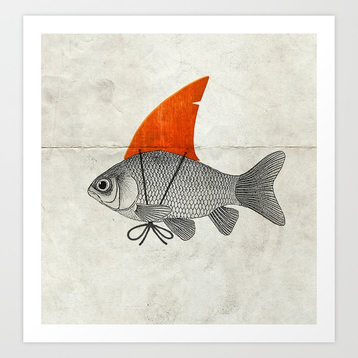 Goldfish with a Shark Fin Art Print