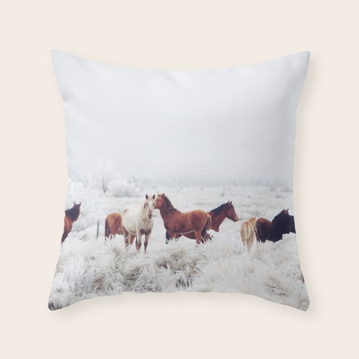Throw Pillow