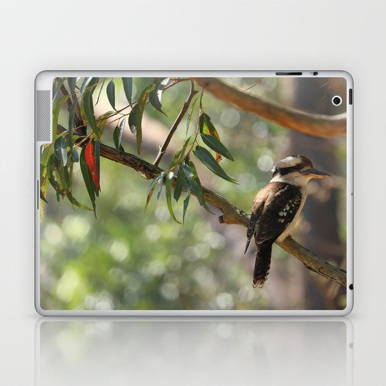 Kookaburra sitting in a gum tree Laptop & iPad Skin