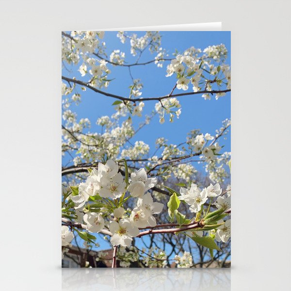 White Spring Flowers Stationery Cards
