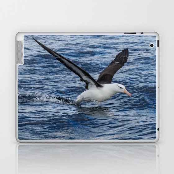 Argentina Photography - Black-browed Albatross Flying Close To The Water Laptop & iPad Skin