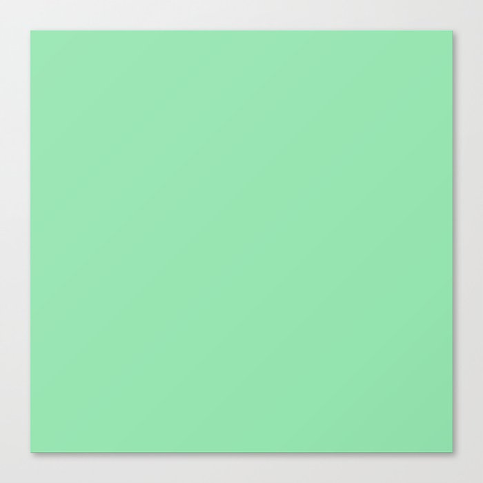 Fresh Mint Green Solid Color Canvas Print By Podartist Society6