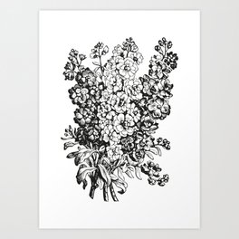Black and White Flowers 1 | Black and White Floral | Vintage Flowers | Vintage Floral | Art Print