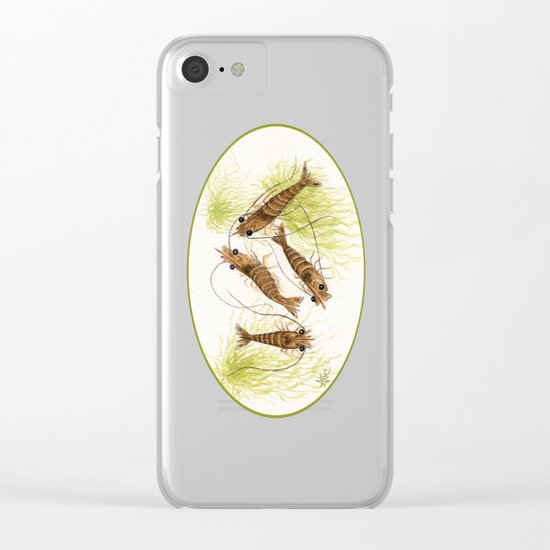 Shrimp ~ Watercolor Painting by Amber Marine Clear iPhone Case