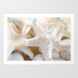 White Starfish Art Print