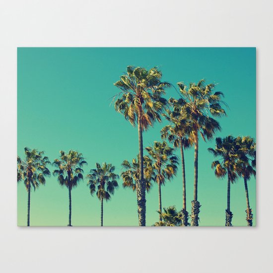 Palm trees Canvas Print