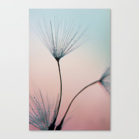 sprinkles of love Canvas Print