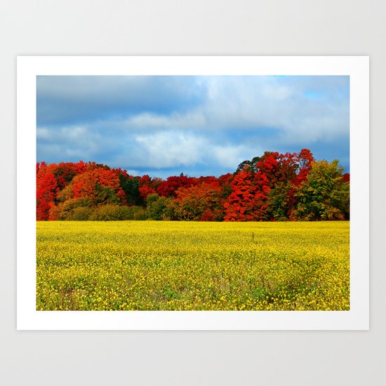 Blue Red Yellow Green and White Art Print