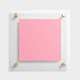 Carnal Pink Floating Acrylic Print