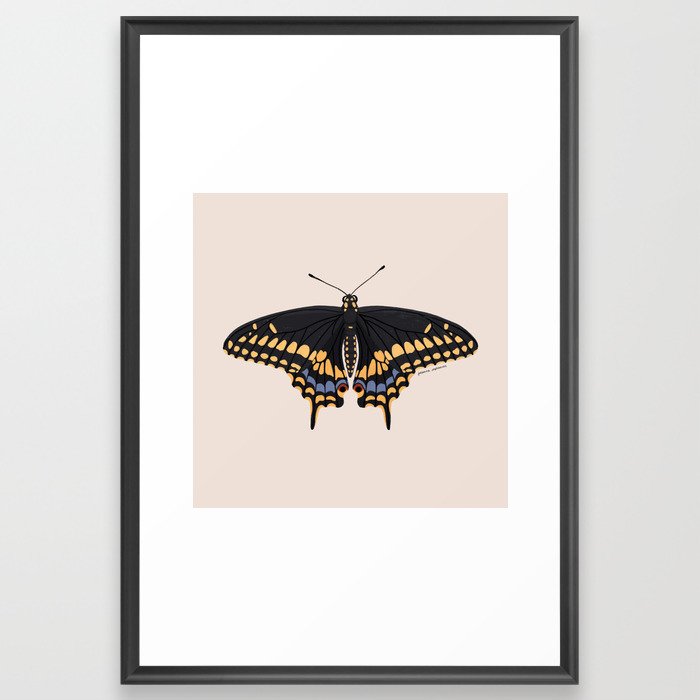 Black Swallowtail Butterfly Framed Art Print