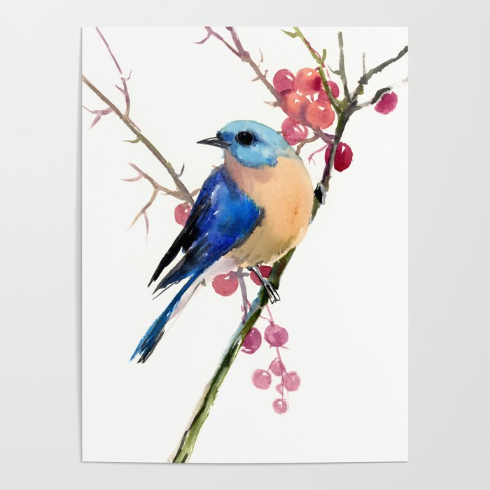 Bluebird and Berries Poster
