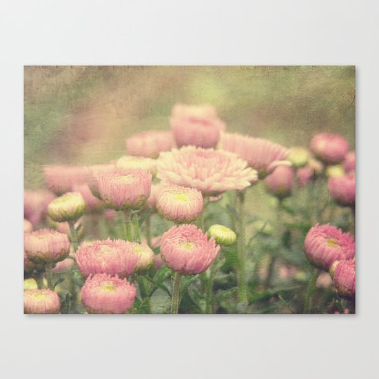 Pink Painterly Mums Canvas Print