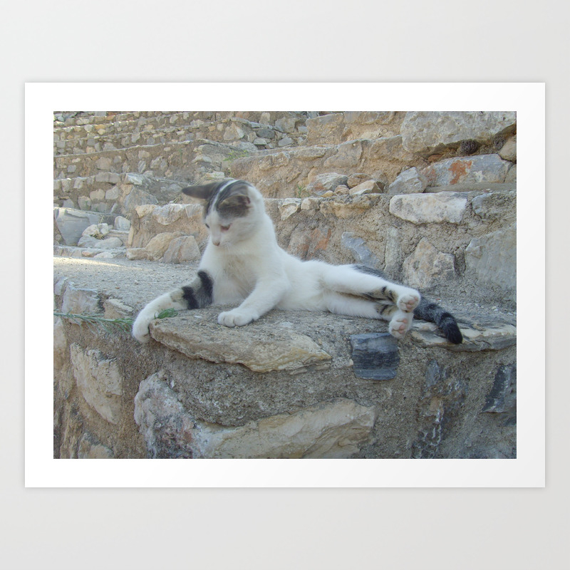 Cat Playing With Blade Of Grass Art Print By Carolineclarkson Society6