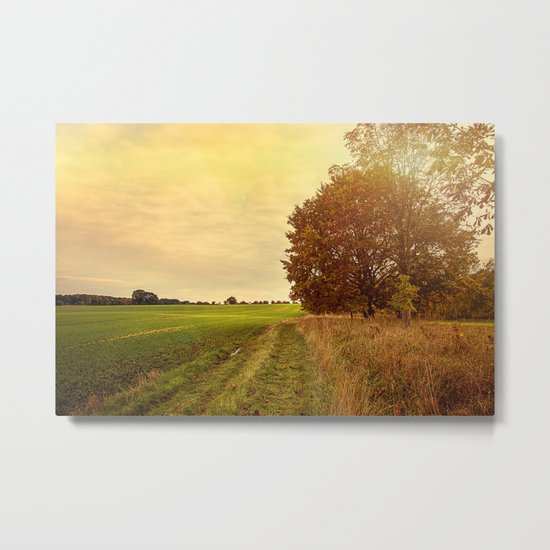 Autumn Walk Metal Print