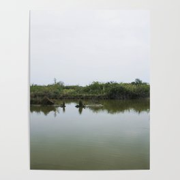 Peaceful lagoon Poster | Peacefullagoon, Lagoon, Ducks, Lagoonwater, Birds, Calmwater, Digital, Photo, Color, Naturalreserve 