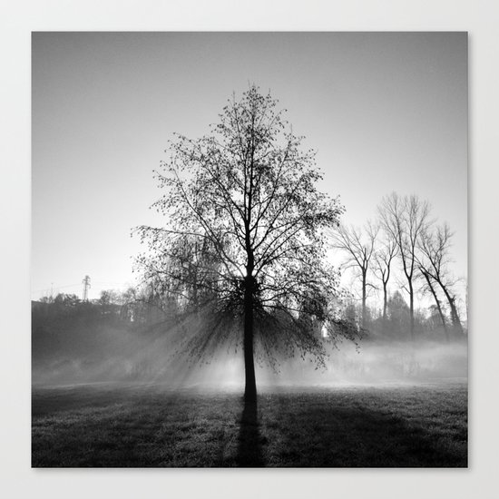 tree Canvas Print