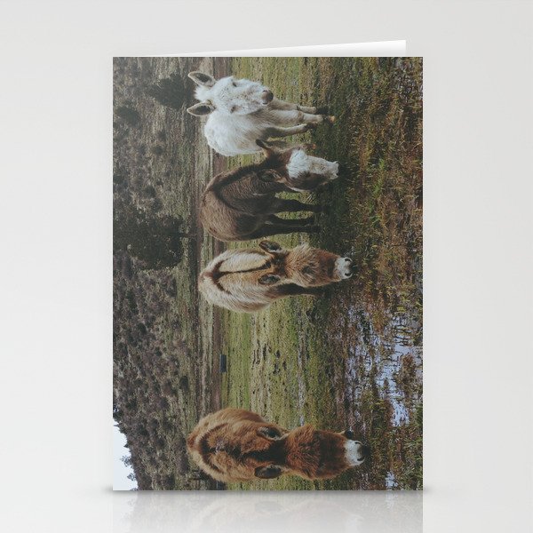 Miniature Donkeys Stationery Cards