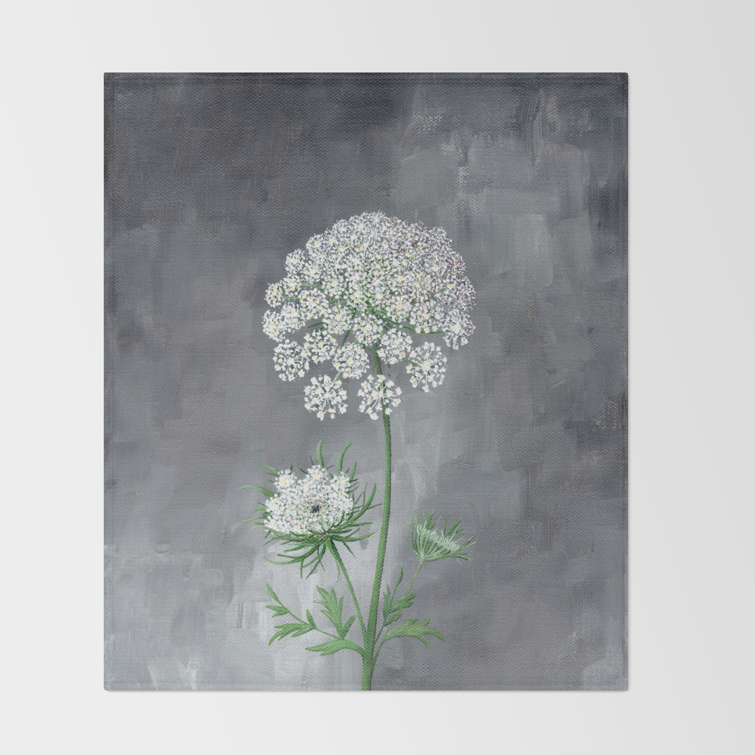 Queen Anne S Lace Flower Painting Throw Blanket By