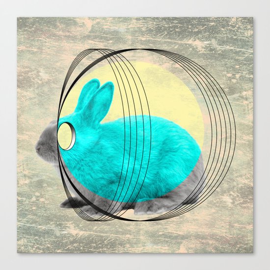 hypnotic rabbit Canvas Print