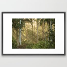 Australian Rainforest Framed Art Print