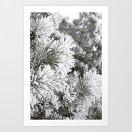 Dressed in Frost Art Print
