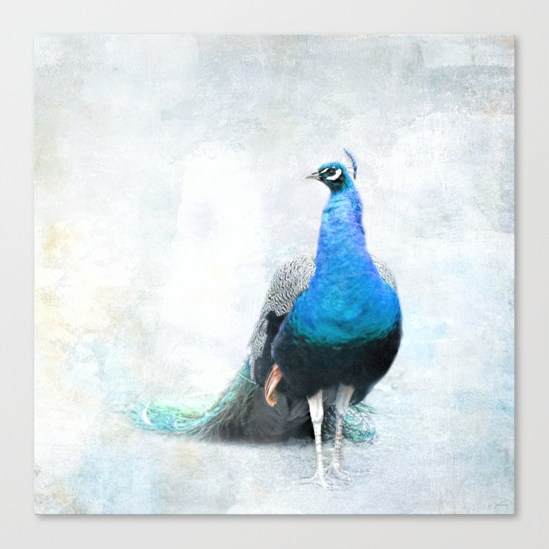 Simple Luxury Peacock Art Canvas Print By Jaijohnson Society6